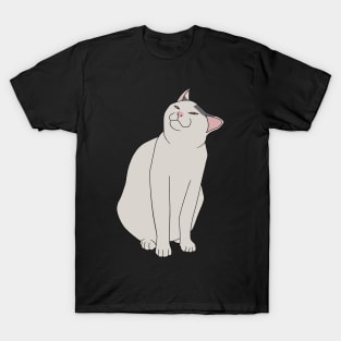 SMUG CAT MEME T-Shirt